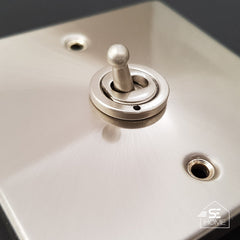 Satin Chrome - White Inserts Satin Chrome Cooker Control Ingot 45A With 13A Switched Plug Socket & 2 Neons - White Trim