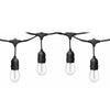 LED Festoon String Lights 100FT/30M Warm white