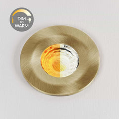 Brushed Brass CCT Dim To Warm Fire Rated LED Dimmable 10W IP65 Downlight