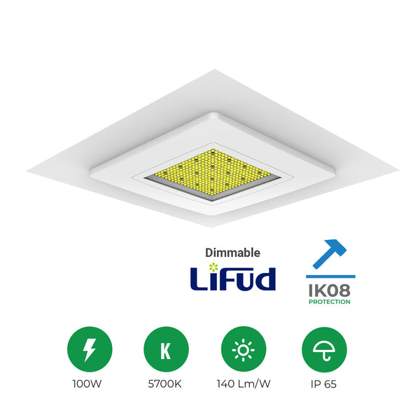 100W LED Premium Canopy Lights